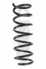 SPIDAN 86669 Coil Spring